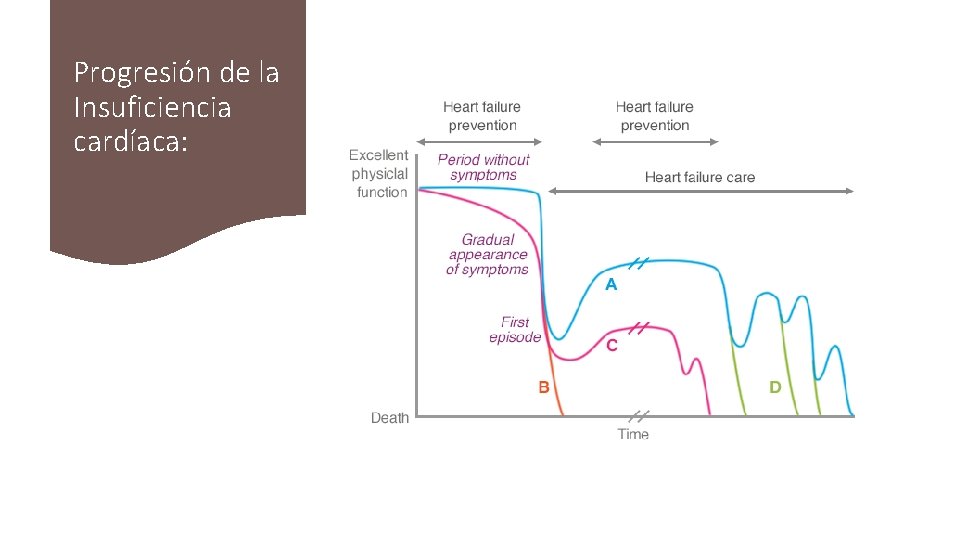 Progresión de la Insuficiencia cardíaca: 