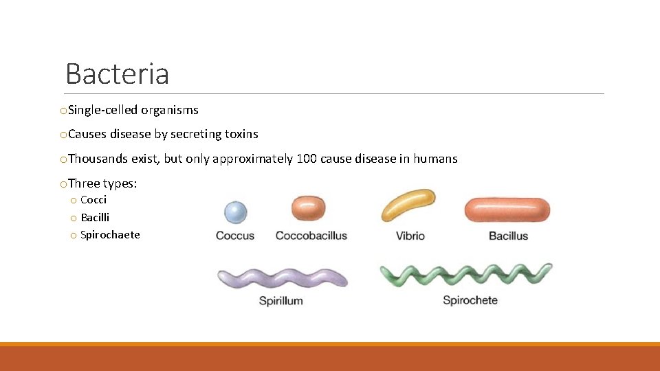 Bacteria o. Single-celled organisms o. Causes disease by secreting toxins o. Thousands exist, but