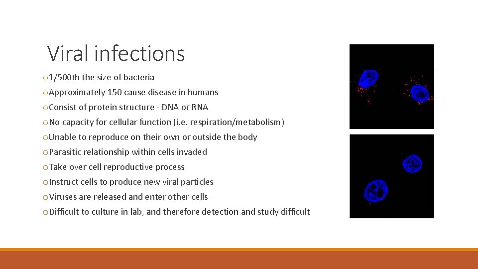 Viral infections o 1/500 th the size of bacteria o. Approximately 150 cause disease