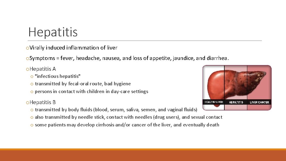 Hepatitis o. Virally induced inflammation of liver o. Symptoms = fever, headache, nausea, and