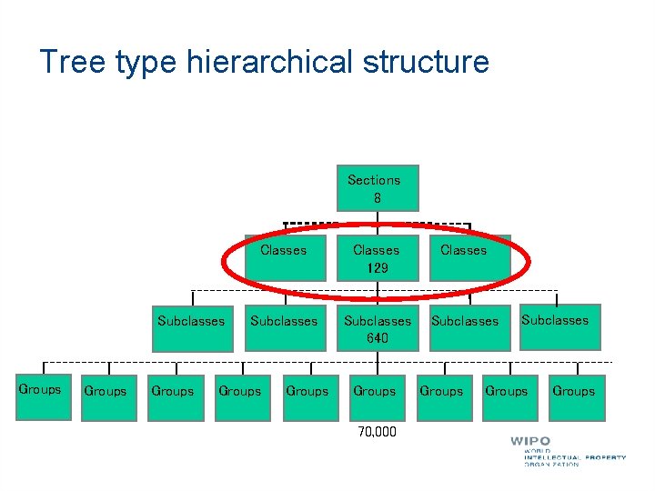 Tree type hierarchical structure Sections 8 Subclasses Groups Classes 129 Classes Subclasses 640 Subclasses