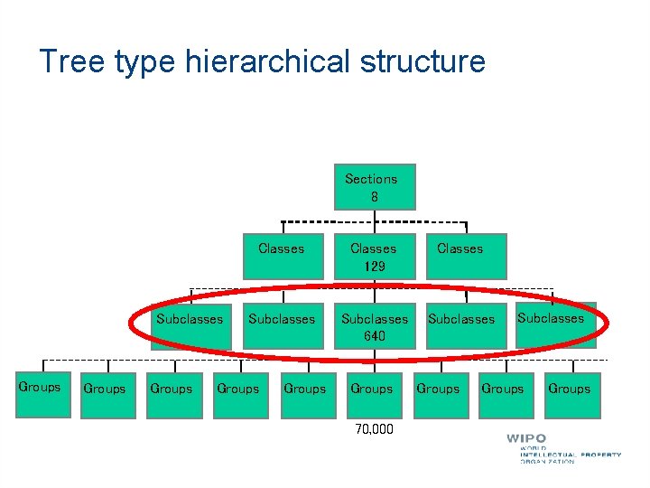 Tree type hierarchical structure Sections 8 Subclasses Groups Classes 129 Classes Subclasses 640 Subclasses