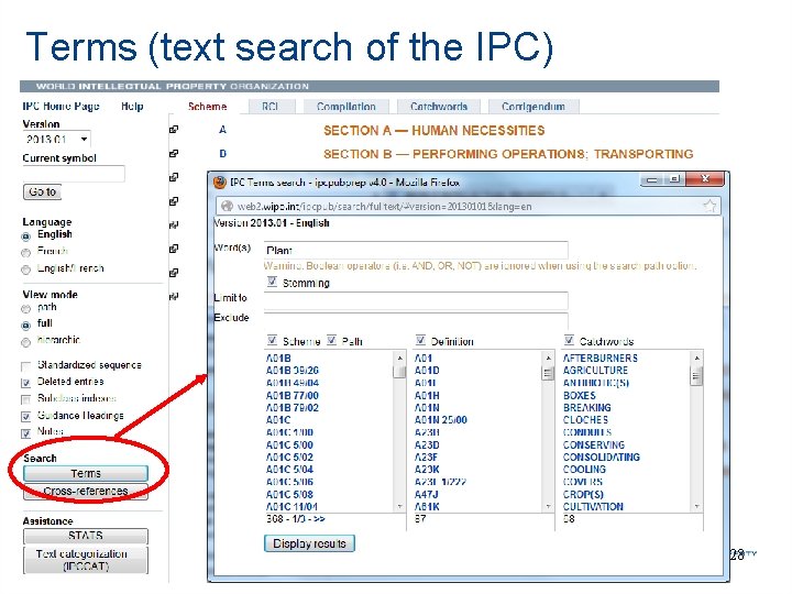Terms (text search of the IPC) 28 