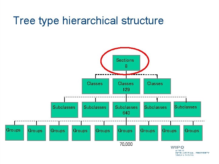 Tree type hierarchical structure Sections 8 Subclasses Groups Classes 129 Classes Subclasses 640 Subclasses