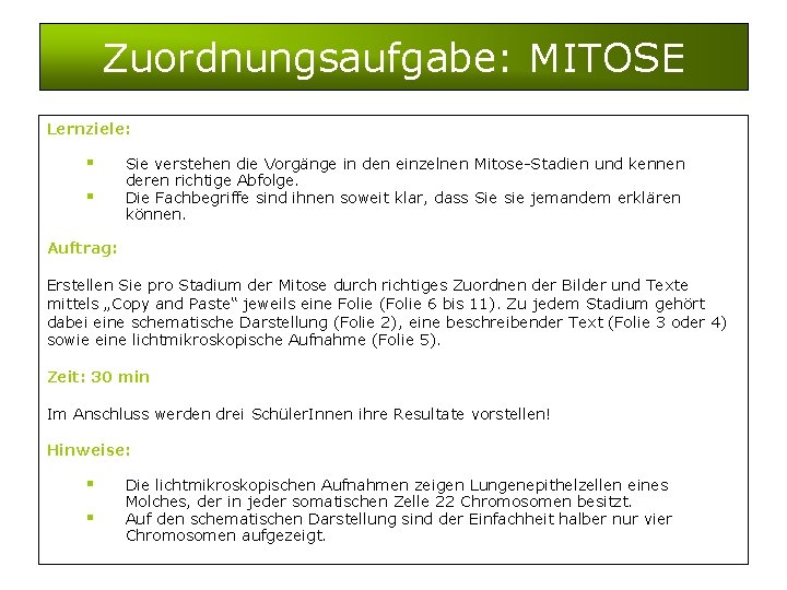 Zuordnungsaufgabe: MITOSE Lernziele: § § Sie verstehen die Vorgänge in den einzelnen Mitose-Stadien und