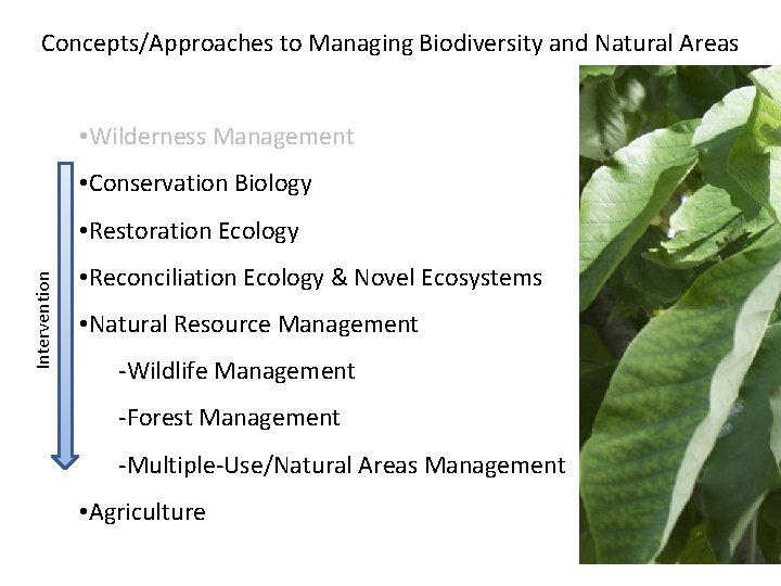 Concepts/Approaches to Managing Biodiversity and Natural Areas • Wilderness Management • Conservation Biology Intervention