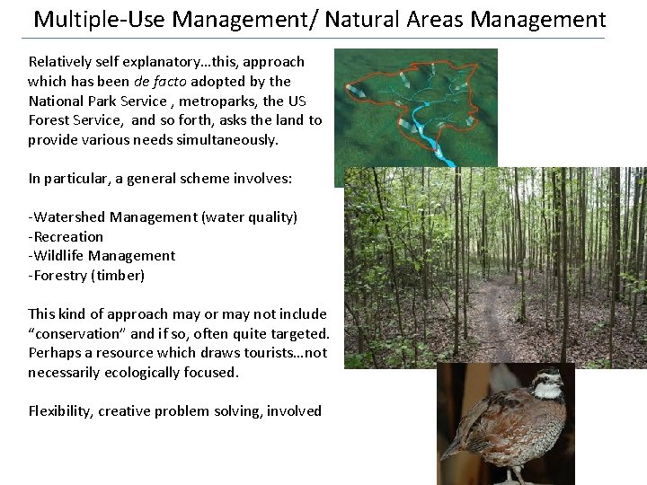 Multiple-Use Management/ Natural Areas Management Relatively self explanatory…this, approach which has been de facto