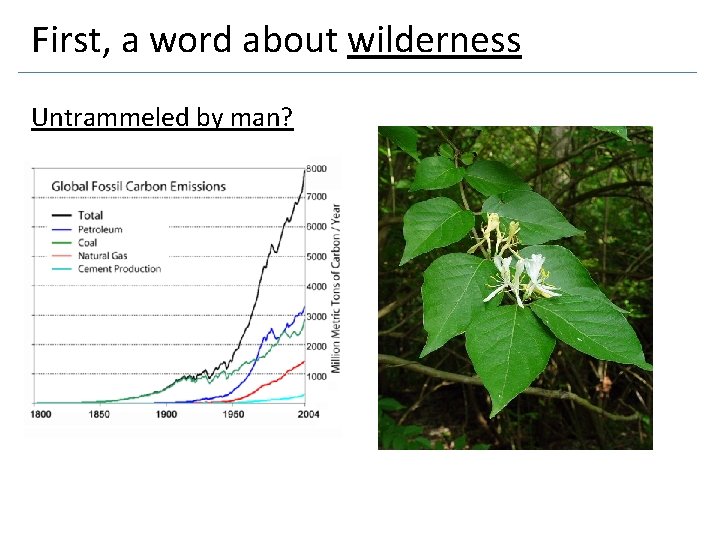 First, a word about wilderness Untrammeled by man? 