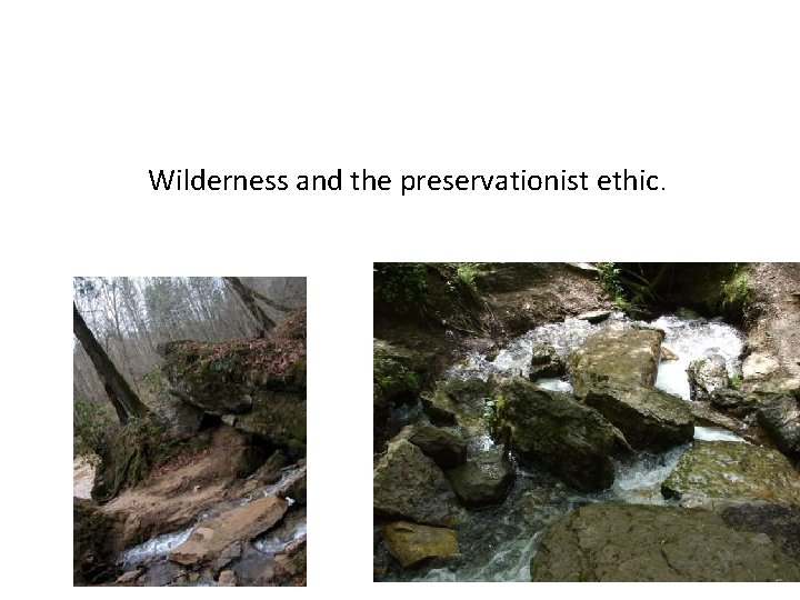 Wilderness and the preservationist ethic. 