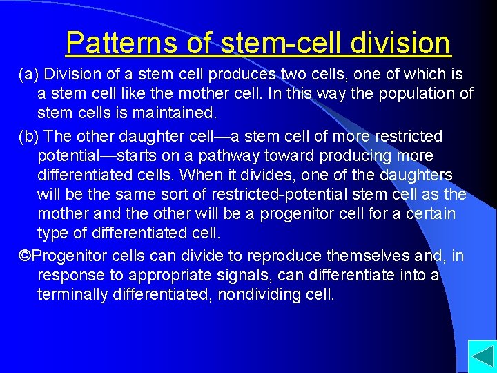 Patterns of stem-cell division (a) Division of a stem cell produces two cells, one