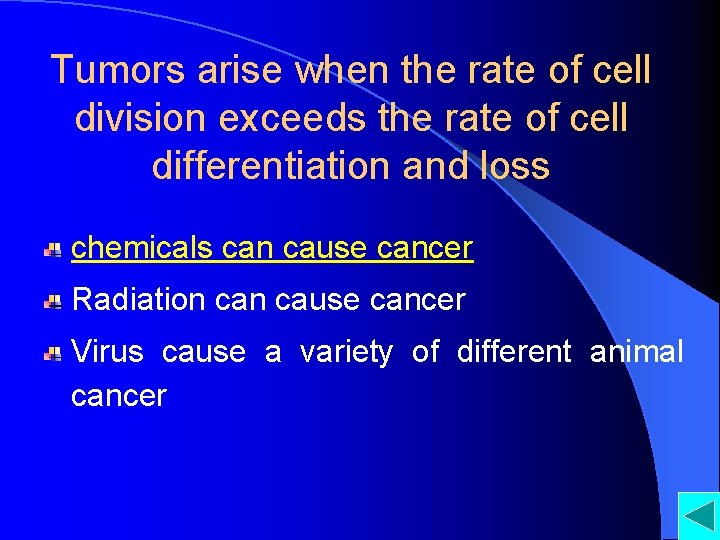 Tumors arise when the rate of cell division exceeds the rate of cell differentiation