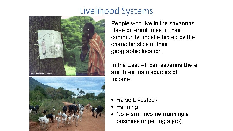 Livelihood Systems People who live in the savannas Have different roles in their community, Livelihood Systems People who live in the savannas Have different roles in their community,