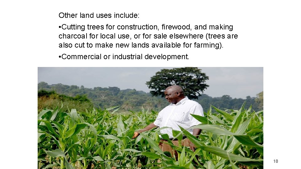 Other land uses include: • Cutting trees for construction, firewood, and making charcoal for Other land uses include: • Cutting trees for construction, firewood, and making charcoal for