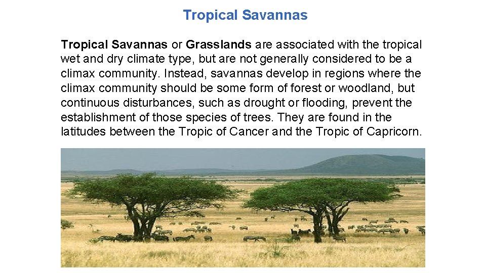 Tropical Savannas or Grasslands are associated with the tropical wet and dry climate type, Tropical Savannas or Grasslands are associated with the tropical wet and dry climate type,