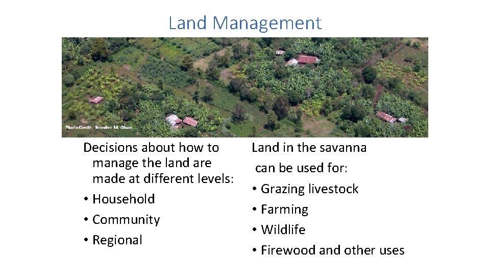 Land Management Decisions about how to manage the land are made at different levels: Land Management Decisions about how to manage the land are made at different levels: