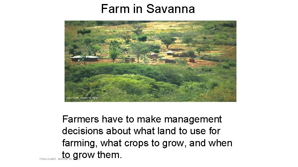Farm in Savanna Farmers have to make management decisions about what land to use Farm in Savanna Farmers have to make management decisions about what land to use