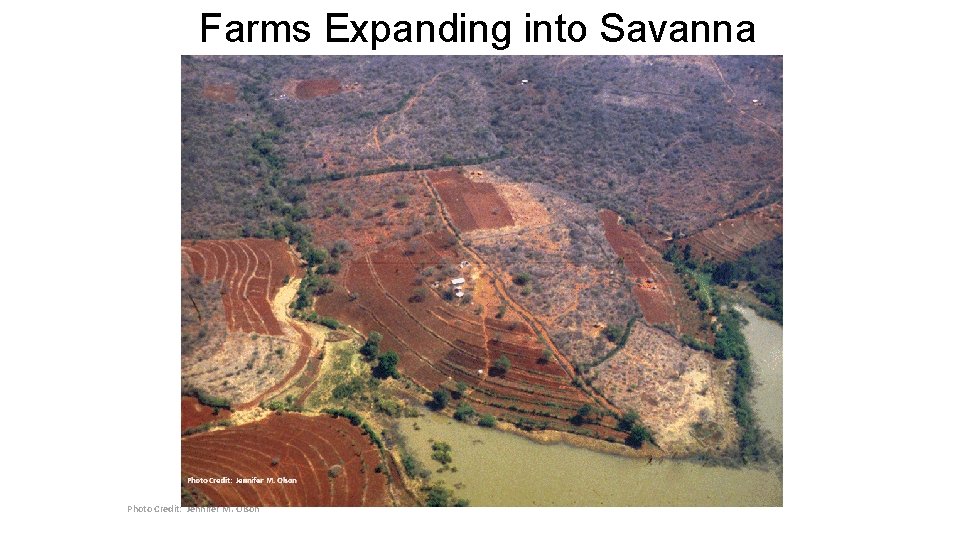Farms Expanding into Savanna Photo Credit: Jennifer M. Olson Farms Expanding into Savanna Photo Credit: Jennifer M. Olson