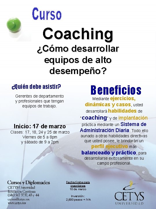 Coaching ¿Cómo desarrollar equipos de alto desempeño? Beneficios ejercicios, ¿Quién debe asistir? Gerentes de