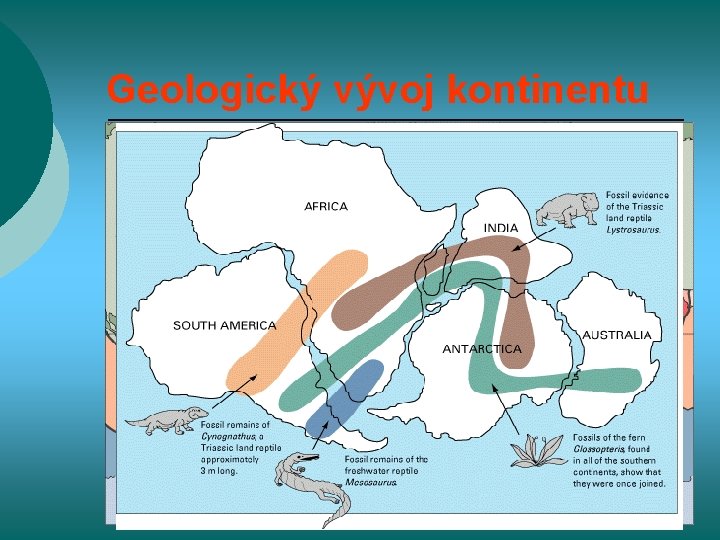 Geologický vývoj kontinentu ¡ ¡ ¡ základem kontinentu africky štít tvořený prekambrickými horninami koncem