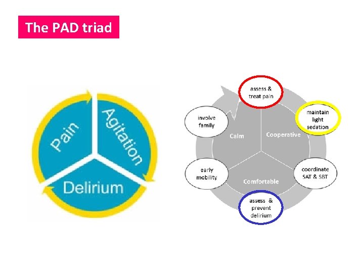 The PAD triad 