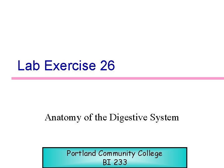 Lab Exercise 26 Anatomy of the Digestive System Portland Community College BI 233 