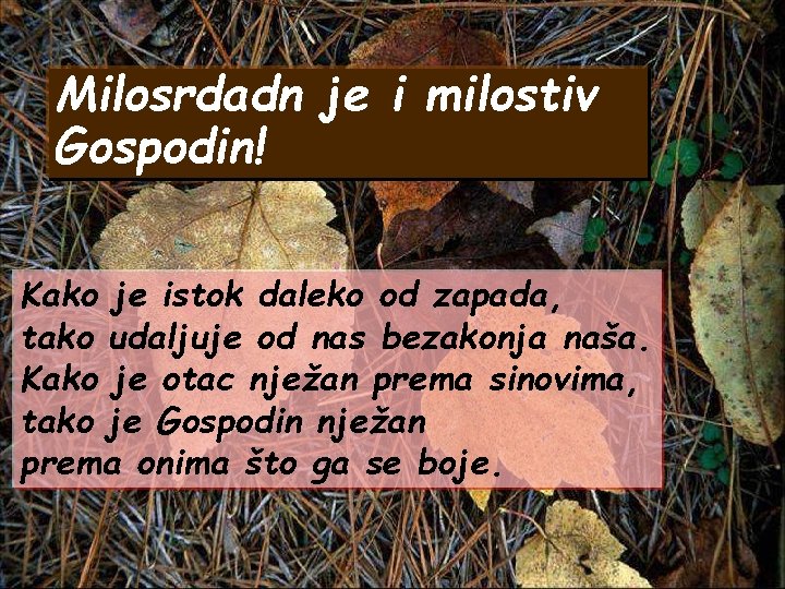 Milosrdadn je i milostiv Gospodin! Kako je istok daleko od zapada, tako udaljuje od Milosrdadn je i milostiv Gospodin! Kako je istok daleko od zapada, tako udaljuje od