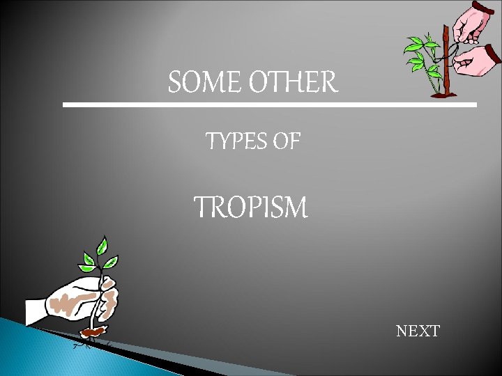 SOME OTHER TYPES OF TROPISM NEXT 