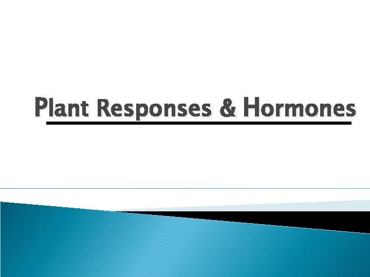 Plant Responses & Hormones 