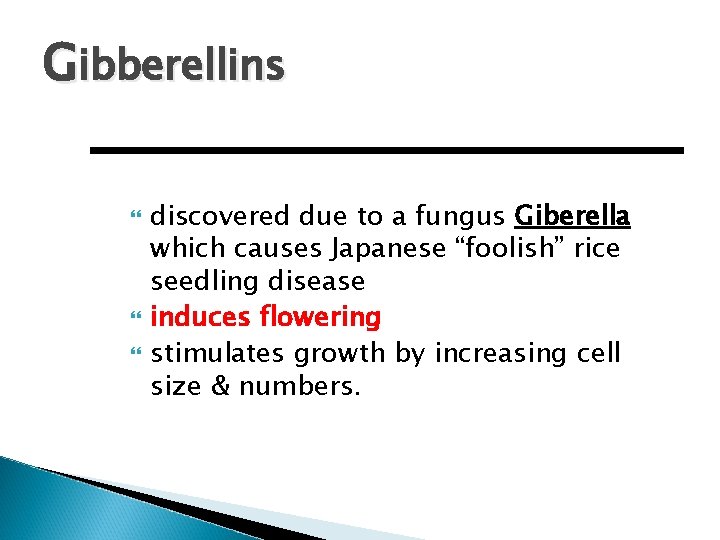 Gibberellins discovered due to a fungus Giberella which causes Japanese “foolish” rice seedling disease