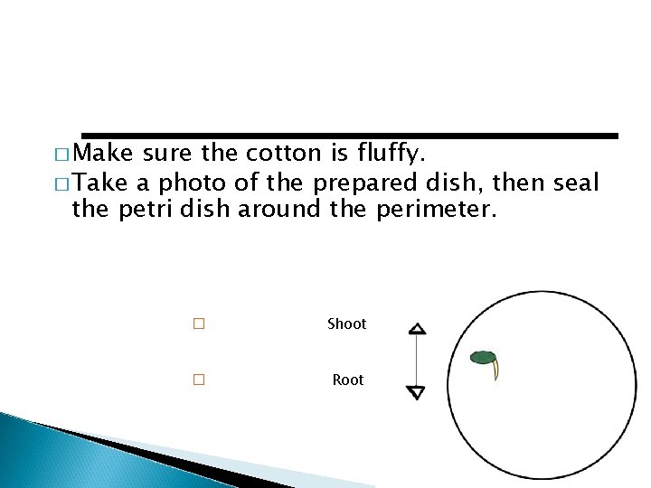 � Make sure the cotton is fluffy. � Take a photo of the prepared