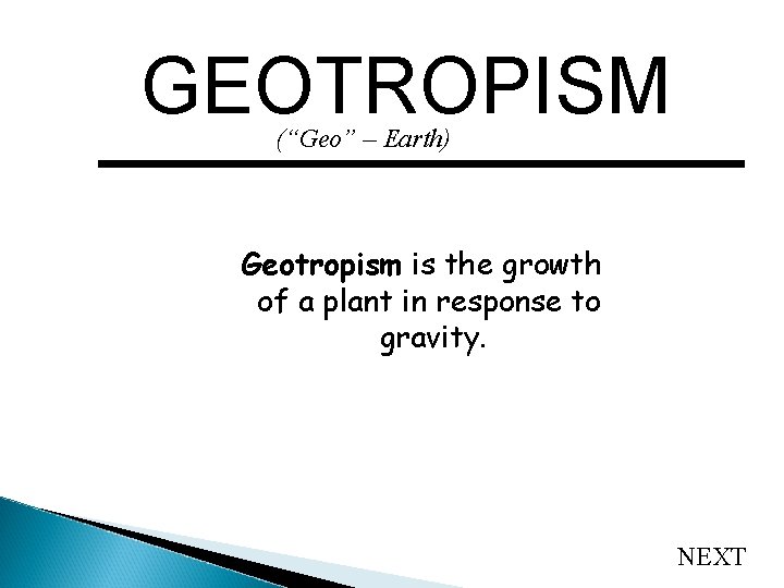GEOTROPISM (“Geo” – Earth) Geotropism is the growth of a plant in response to