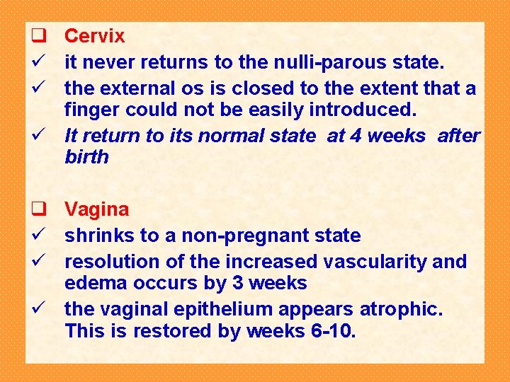 q Cervix ü it never returns to the nulli-parous state. ü the external os