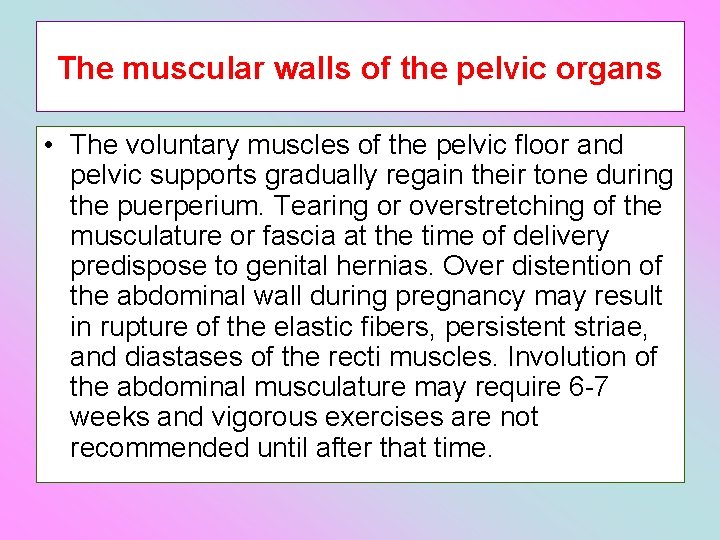 The muscular walls of the pelvic organs • The voluntary muscles of the pelvic