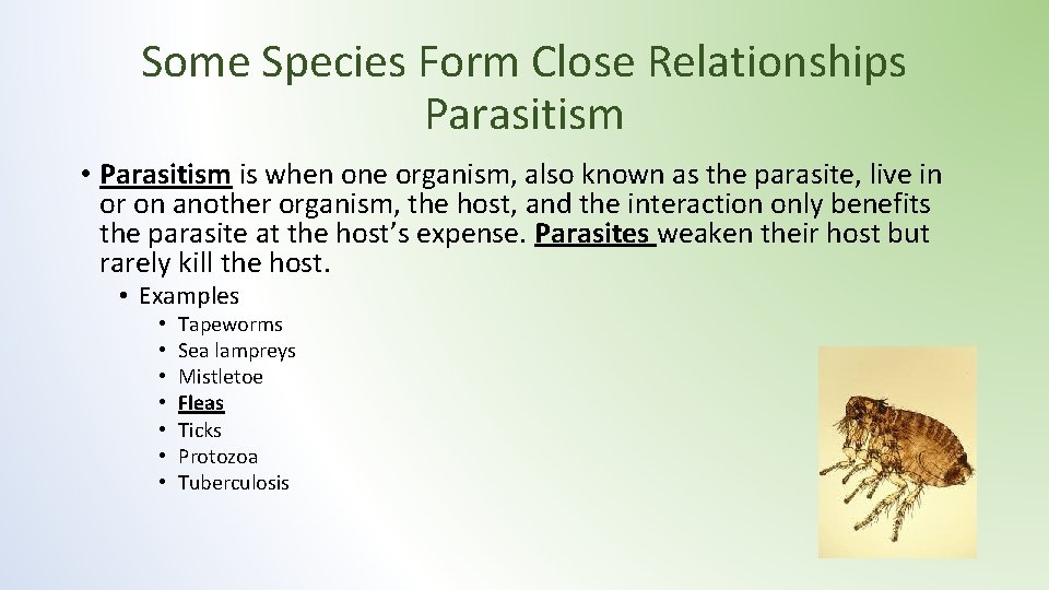 Some Species Form Close Relationships Parasitism • Parasitism is when one organism, also known Some Species Form Close Relationships Parasitism • Parasitism is when one organism, also known
