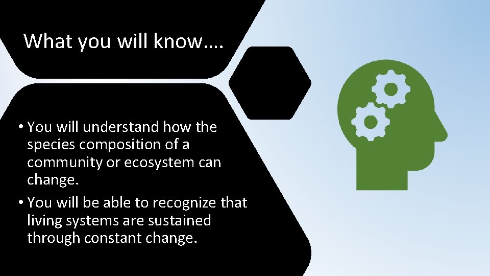 What you will know…. • You will understand how the species composition of a What you will know…. • You will understand how the species composition of a
