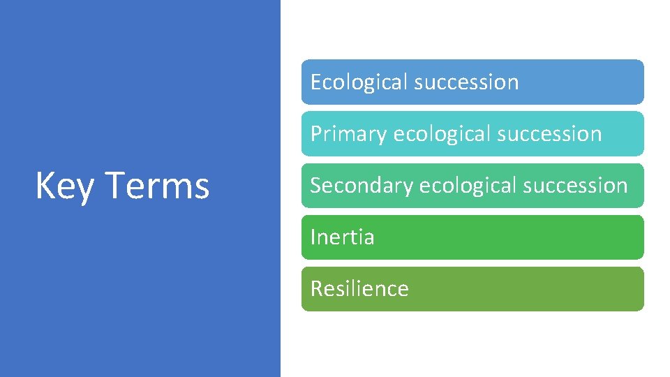 Ecological succession Primary ecological succession Key Terms Secondary ecological succession Inertia Resilience Ecological succession Primary ecological succession Key Terms Secondary ecological succession Inertia Resilience