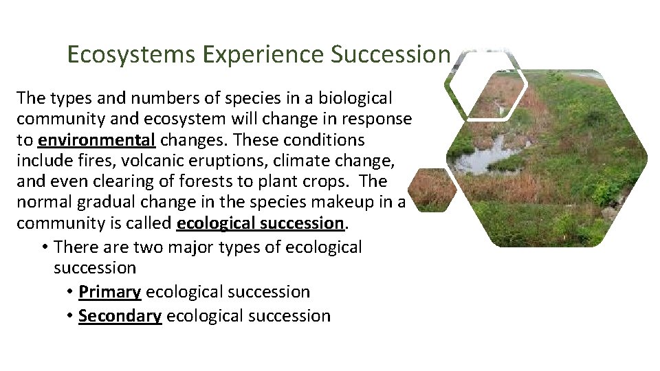 Ecosystems Experience Succession The types and numbers of species in a biological community and Ecosystems Experience Succession The types and numbers of species in a biological community and