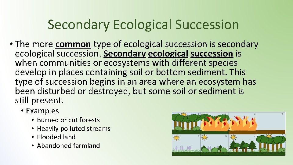 Secondary Ecological Succession • The more common type of ecological succession is secondary ecological Secondary Ecological Succession • The more common type of ecological succession is secondary ecological