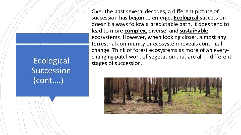 Ecological Succession (cont. …) Over the past several decades, a different picture of succession Ecological Succession (cont. …) Over the past several decades, a different picture of succession