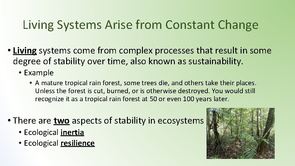 Living Systems Arise from Constant Change • Living systems come from complex processes that Living Systems Arise from Constant Change • Living systems come from complex processes that