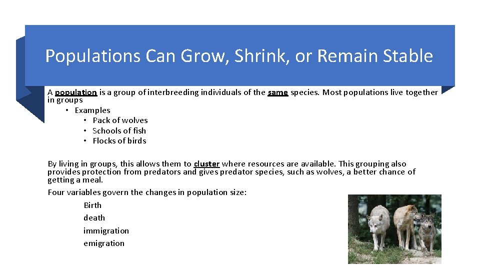 Populations Can Grow, Shrink, or Remain Stable A population is a group of interbreeding Populations Can Grow, Shrink, or Remain Stable A population is a group of interbreeding