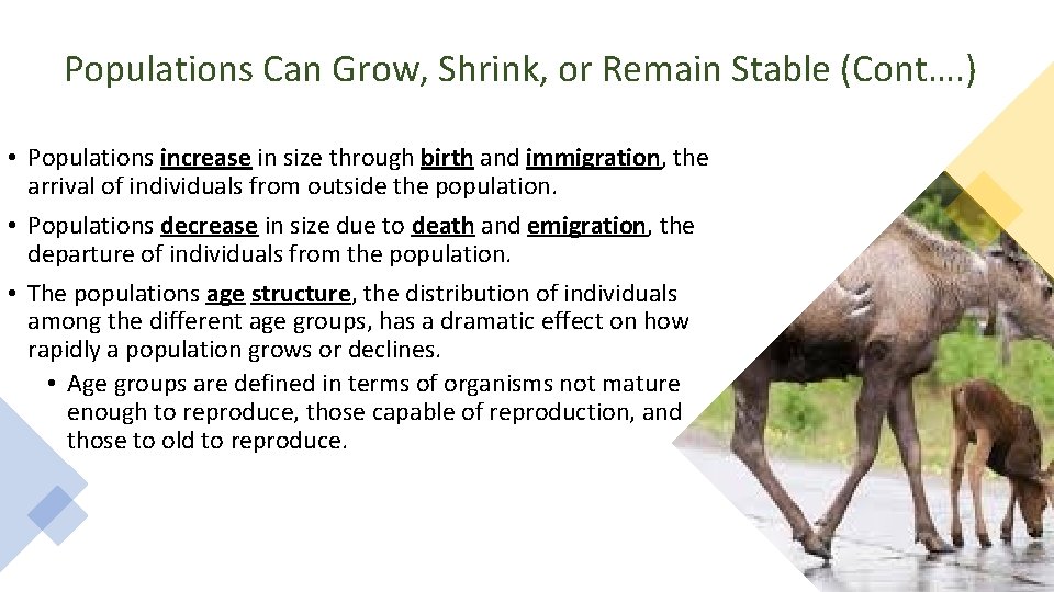 Populations Can Grow, Shrink, or Remain Stable (Cont…. ) • Populations increase in size Populations Can Grow, Shrink, or Remain Stable (Cont…. ) • Populations increase in size
