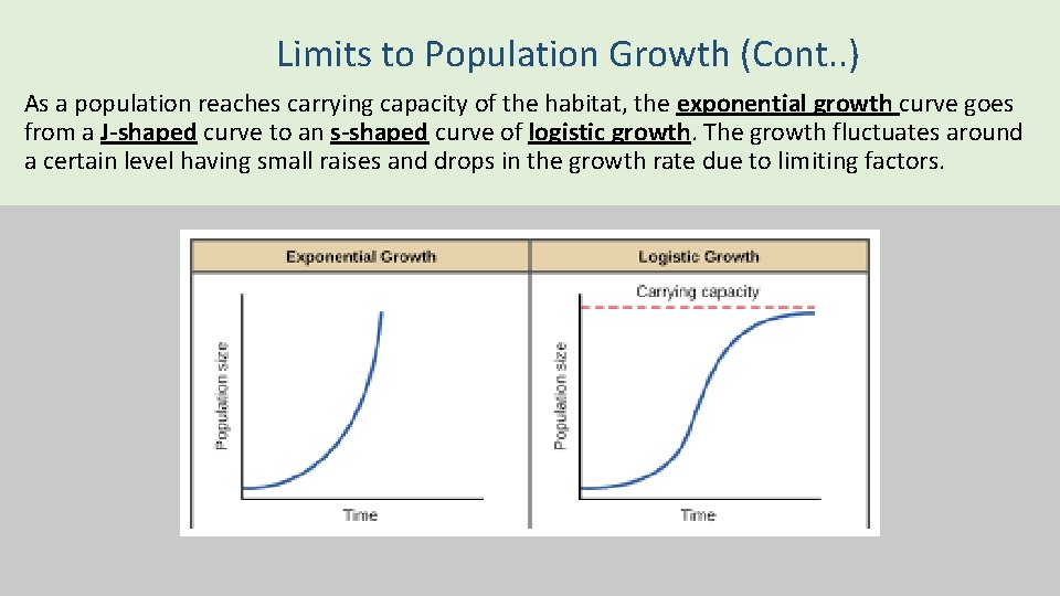 Limits to Population Growth (Cont. . ) As a population reaches carrying capacity of Limits to Population Growth (Cont. . ) As a population reaches carrying capacity of