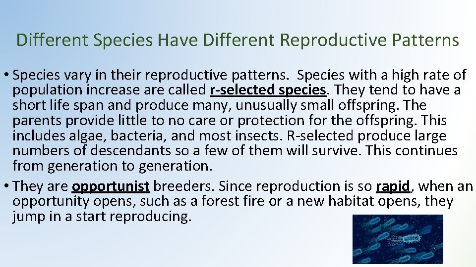 Different Species Have Different Reproductive Patterns • Species vary in their reproductive patterns. Species Different Species Have Different Reproductive Patterns • Species vary in their reproductive patterns. Species