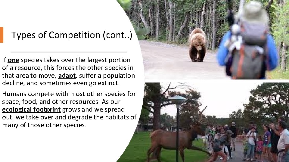 Types of Competition (cont. . ) If one species takes over the largest portion Types of Competition (cont. . ) If one species takes over the largest portion