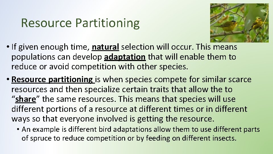 Resource Partitioning • If given enough time, natural selection will occur. This means populations Resource Partitioning • If given enough time, natural selection will occur. This means populations