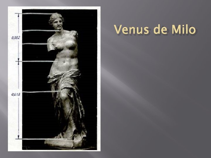 Venus de Milo 