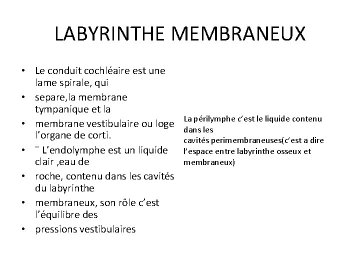 LABYRINTHE MEMBRANEUX • Le conduit cochléaire est une lame spirale, qui • separe, la