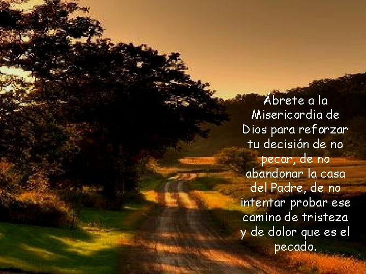 Ábrete a la Misericordia de Dios para reforzar tu decisión de no pecar, de