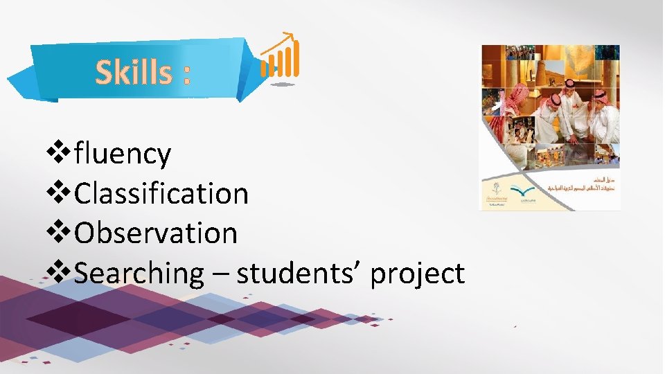 Skills : vfluency v. Classification v. Observation v. Searching – students’ project 